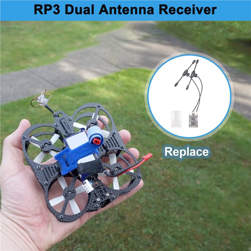 BEDW-RP3 Penerima Antena Ganda - Antenna 2.4Ghz ulasan dan harga